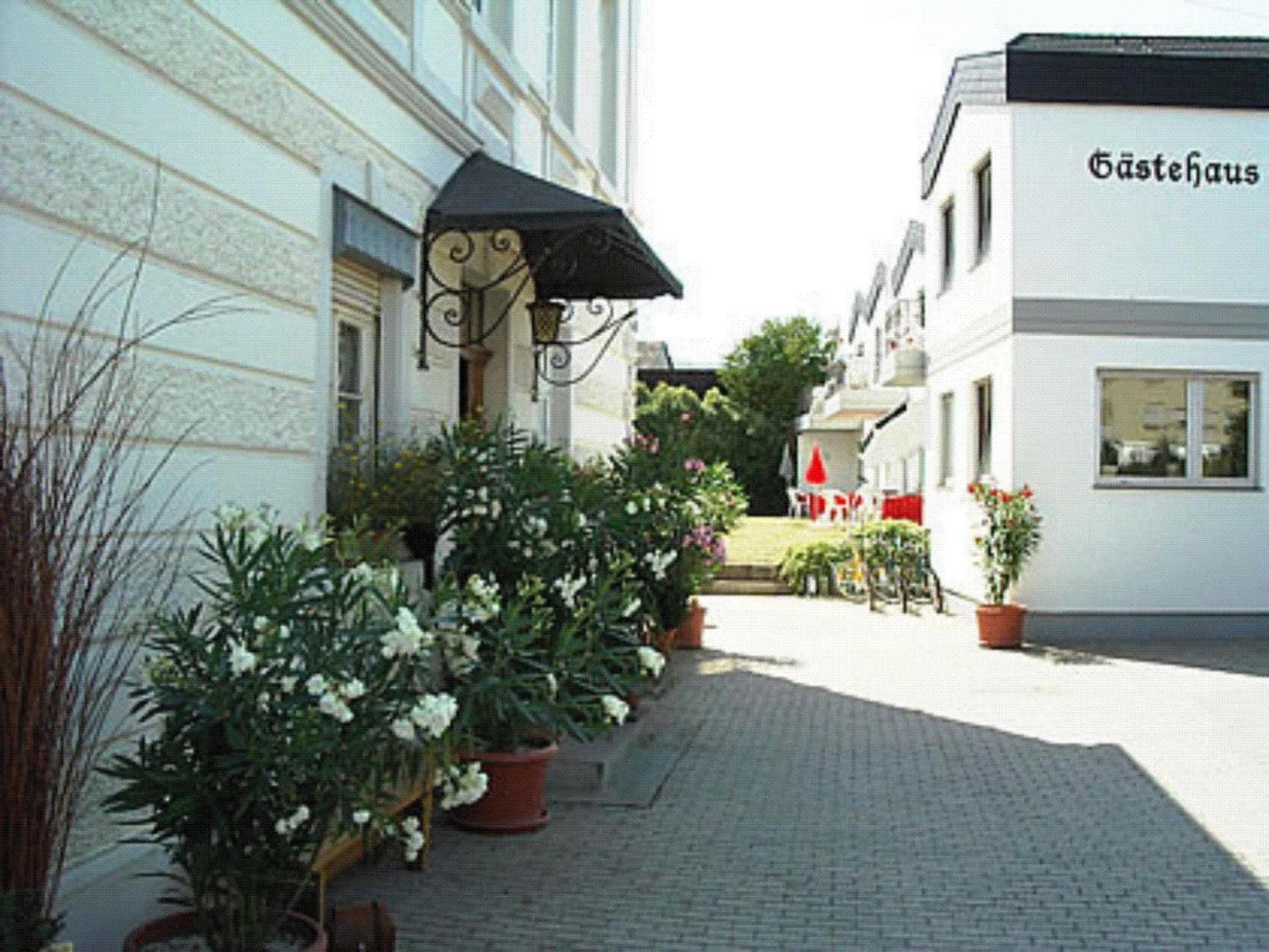Ferienweingut Peter-Jos. Hauth Bernkastel-Kues Ngoại thất bức ảnh